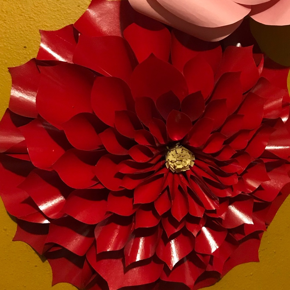 Meet your Posher, Gilda